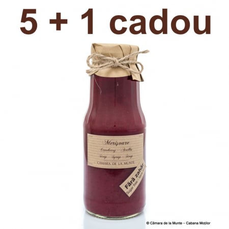 Sirop de casă - Sirop de merișoare fără zahăr adăugat 300 ml 5 + 1 cadou