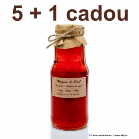 Cumpără o cutie 5 + 1 cadou - Sirop de muguri de brad 300 ml 5 + 1 cadou