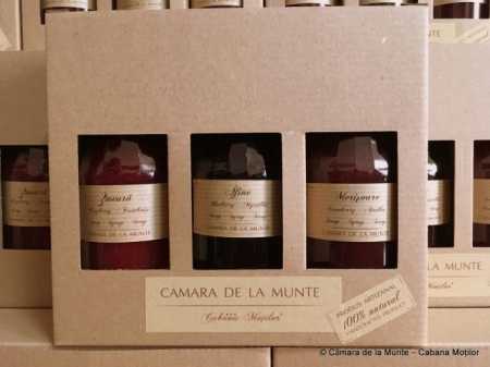 Sirop de casă - TRIO Sirop fructe de pădure 3x300 ml