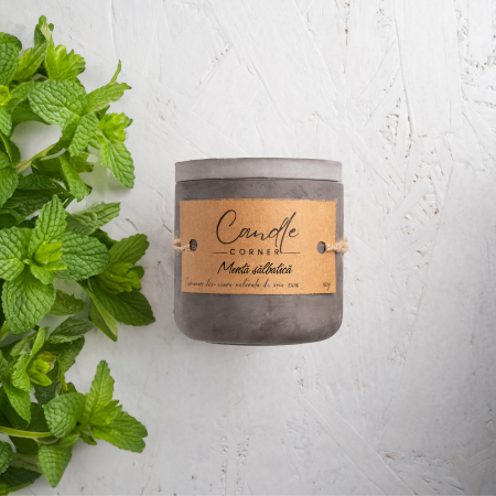 Lumanari parfumate Ierboase si verde - Lumanare parfumata handmade din ceara naturala de soia 100%, aroma de Menta salbatica, Recipient ceramic, 150 g