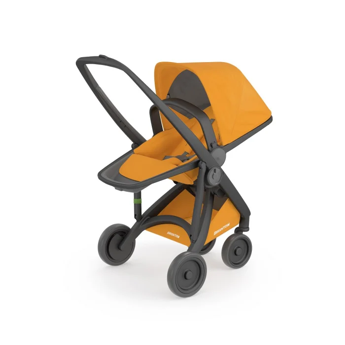 Carucior 2 In 1, Greentom, 100% Ecologic, Black Sunflower [5]