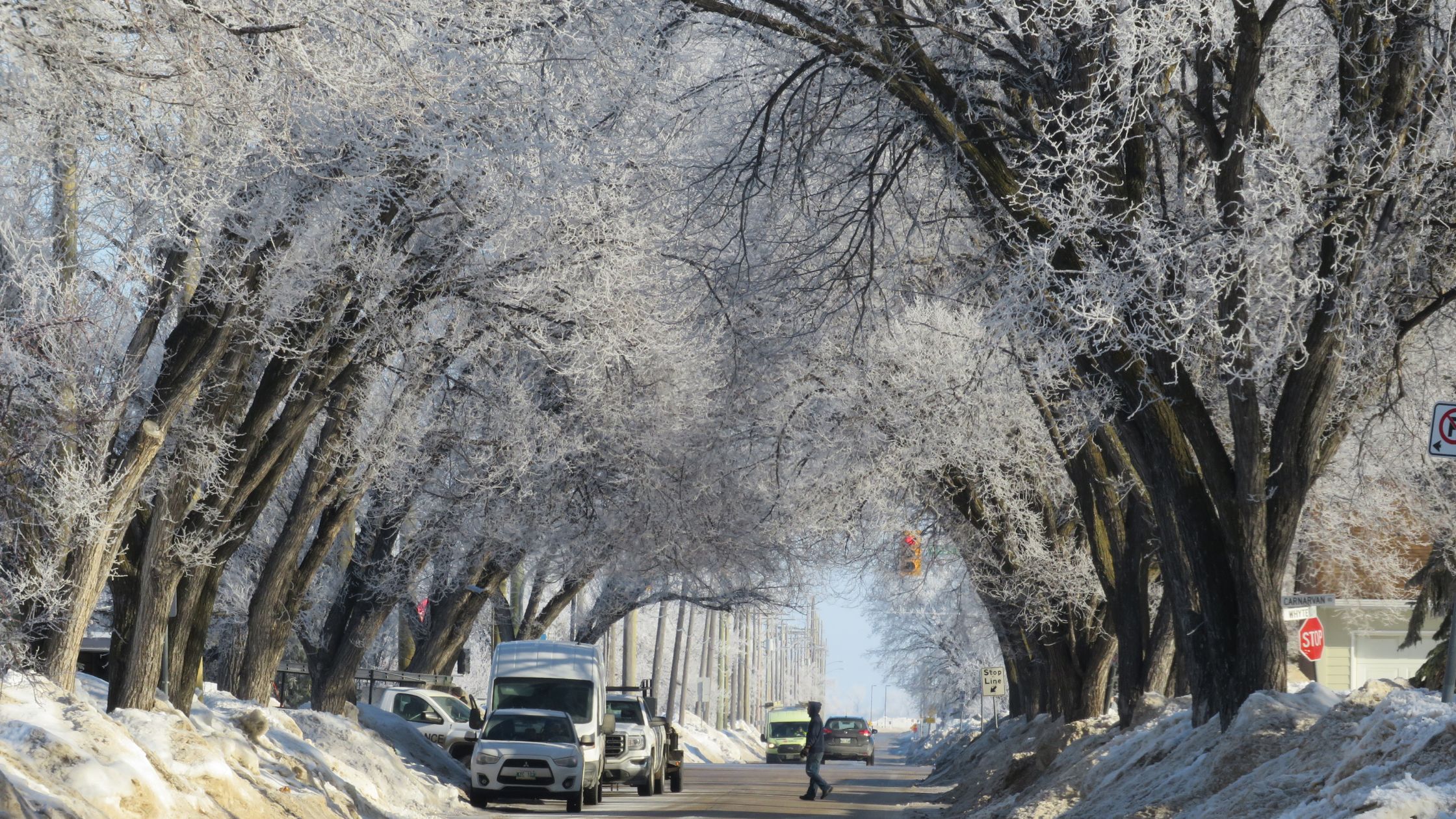 Sfaturi pentru economisirea combustibilului în sezonul rece