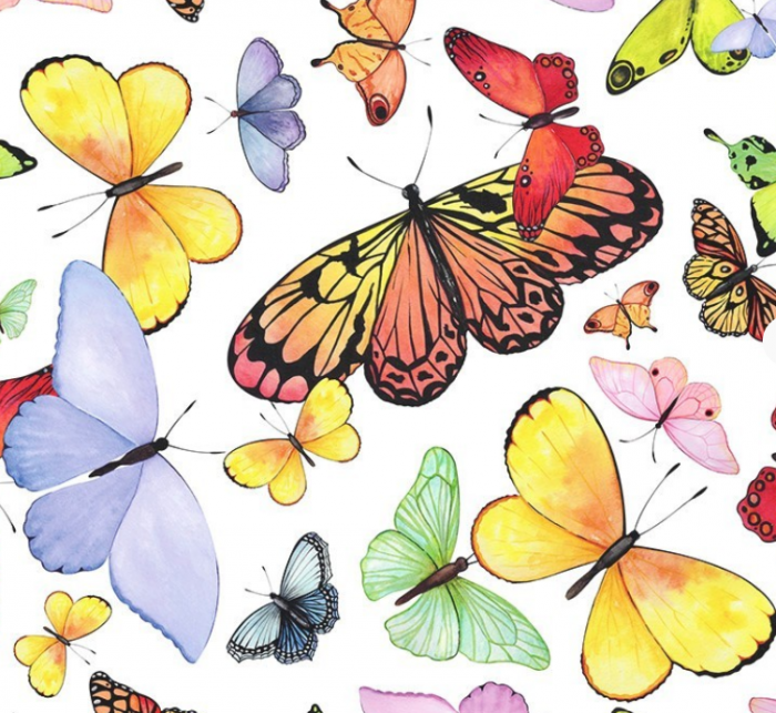 Cupon Jersey Elastic cu Fluturi - 50 x 80 cm [1]