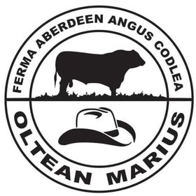 Ferma Aberdeen Angus Codlea [1]