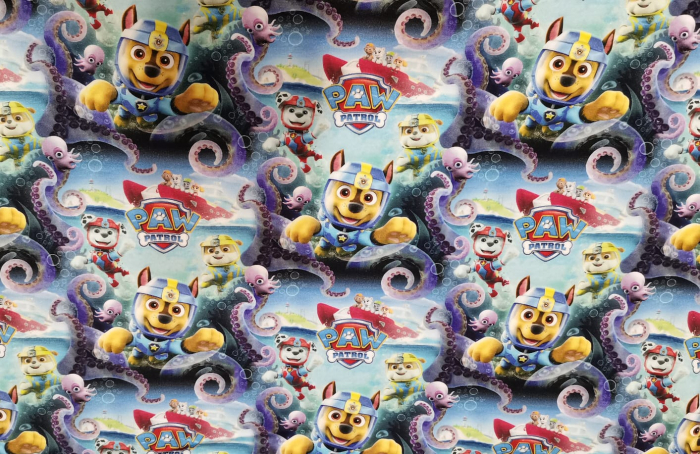 French Terry cu Paw Patrol [1]
