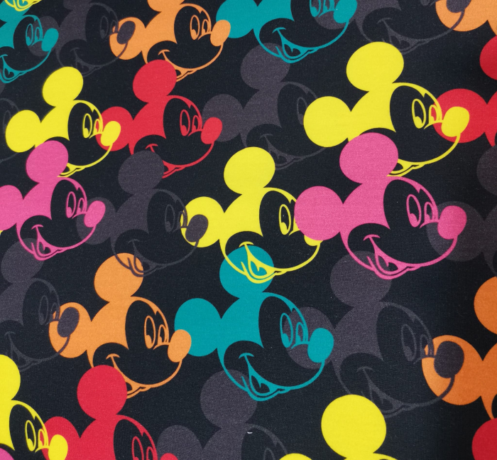 French Terry cu Miki Multicolor [1]