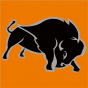 BISONTE