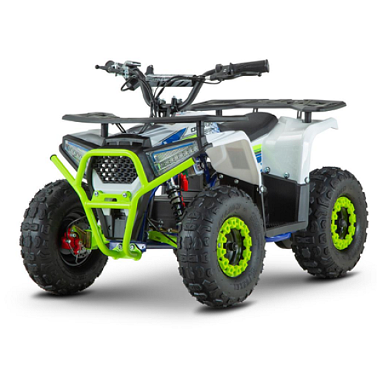 ATV de adulti RDB-FFA1000, 1000W, 48V12Ah [1]