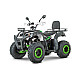 ATV RDB AW200, 180cc, 4 Timpi [5]