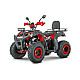 ATV RDB AW200, 180cc, 4 Timpi [1]