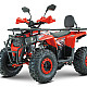 ATV RDB AY125, 125cc, 4 Timpi [4]