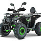 ATV RDB AY125, 125cc, 4 Timpi [6]