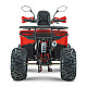 ATV RDB AY125, 125cc, 4 Timpi [2]