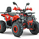 ATV RDB AY125, 125cc, 4 Timpi [5]