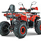 ATV RDB AY125, 125cc, 4 Timpi [3]