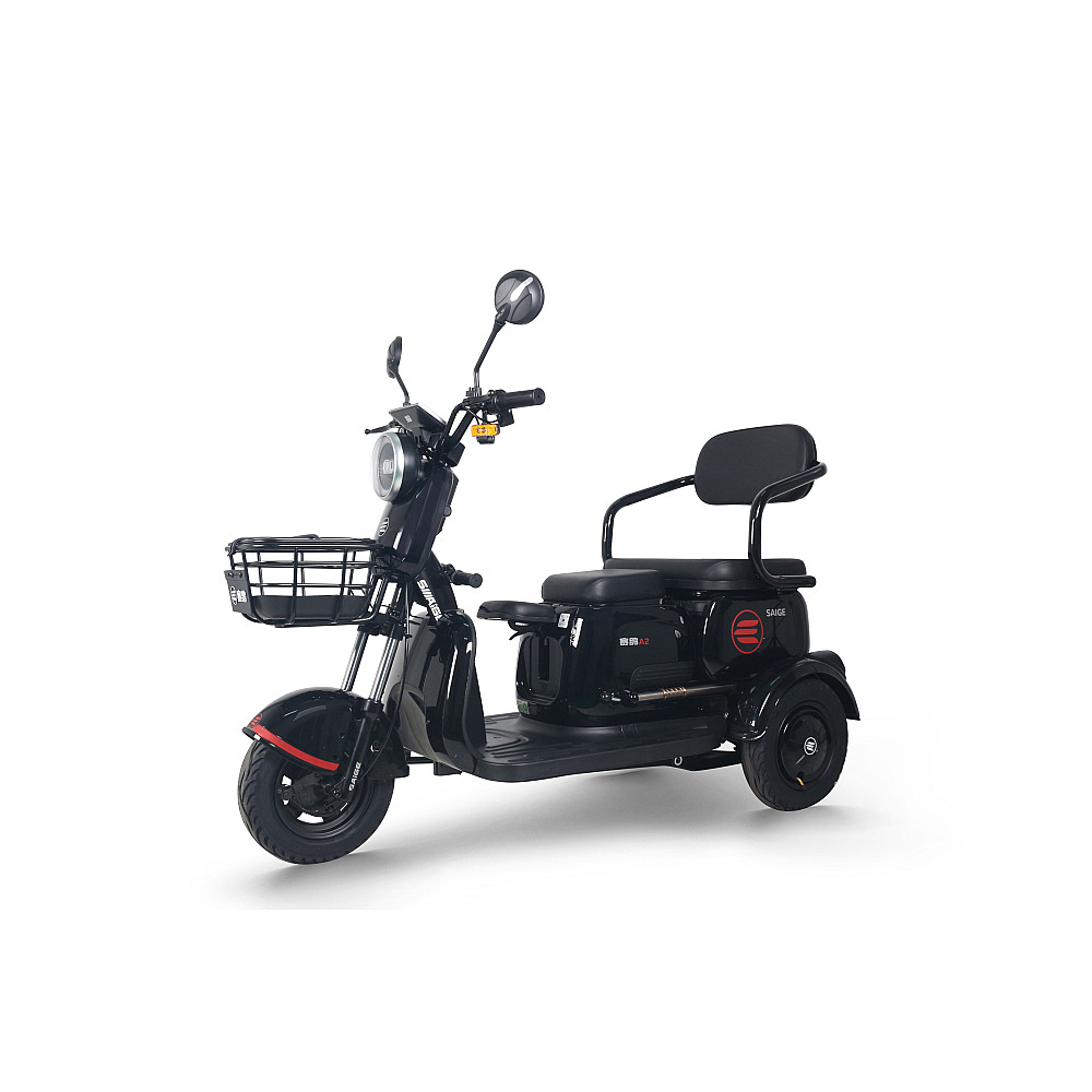 Tricicleta Electrica RDB RABBIT25, 1000W, fara permis, 25km/h [3]