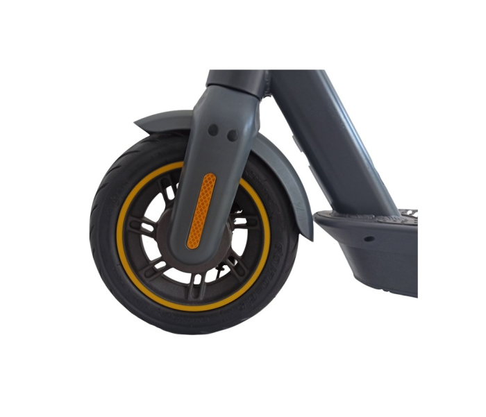 Trotineta electrica RDB LYS-028 MAX S, 350W, 2022, Negru [2]