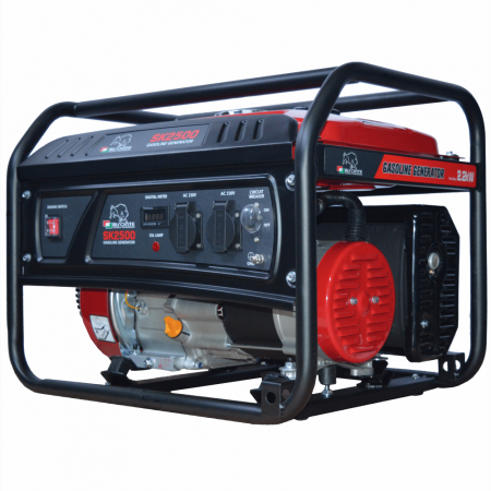 GENERATOR CURENT BISONTE SK2500 [2]