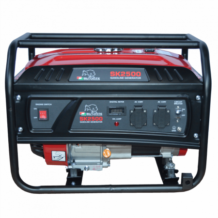 Generatoare  - GENERATOR CURENT BISONTE SK2500