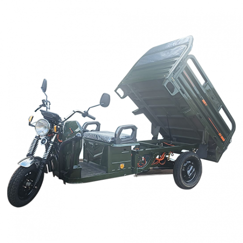 Triciclu Electric Voltarom, Fara Permis, Motor 2000W, Viteza Maxima 25km pe ora, autonomie pana la 68 km [3]