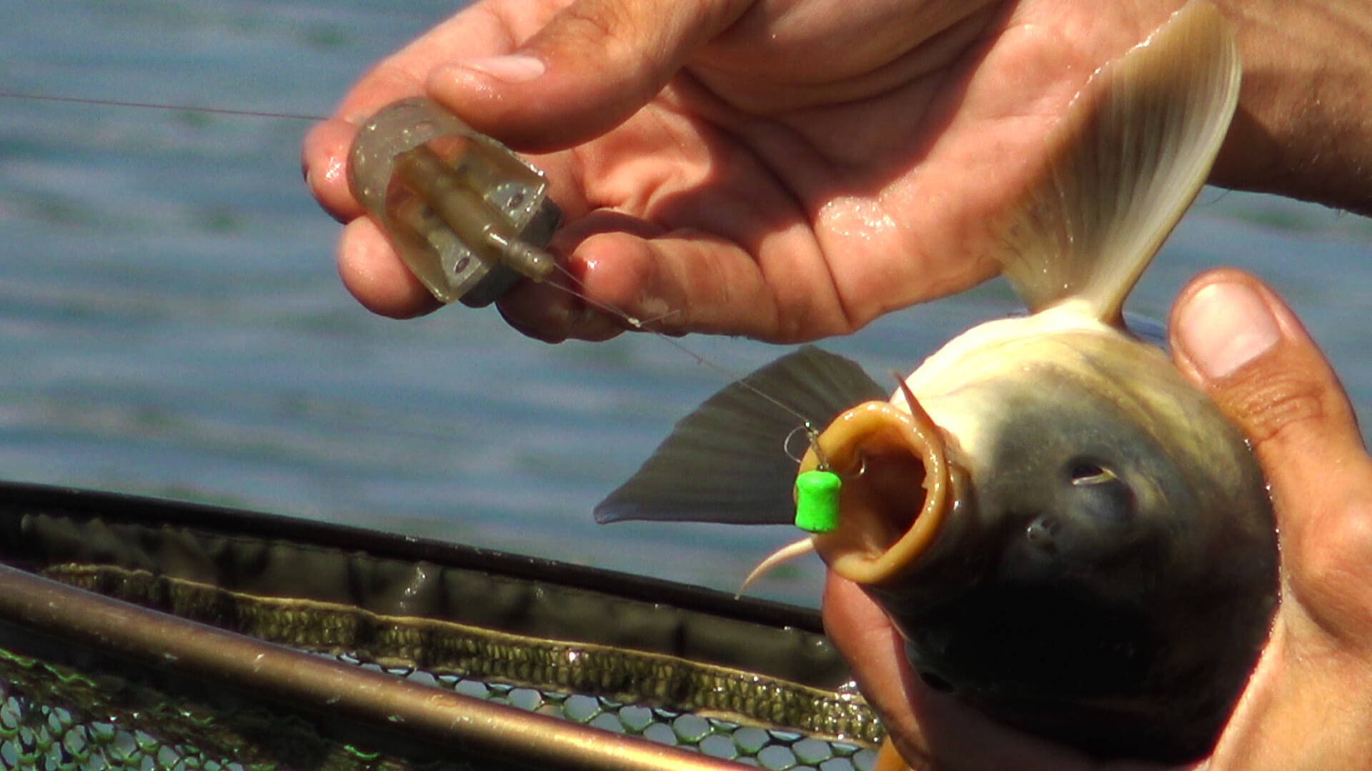 Pescuit la feeder,stationar