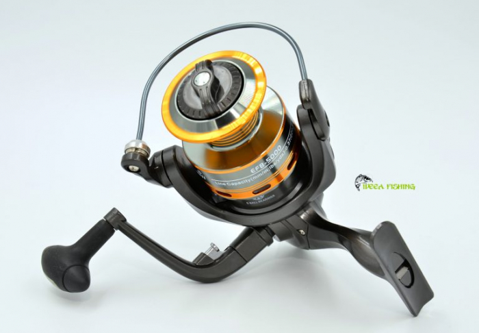 Mulineta FL EFB 3000 [3]