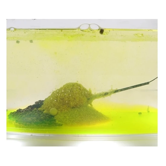 Nada Feeder Claumar Nuclear, Larve Libelula, 800g [2]