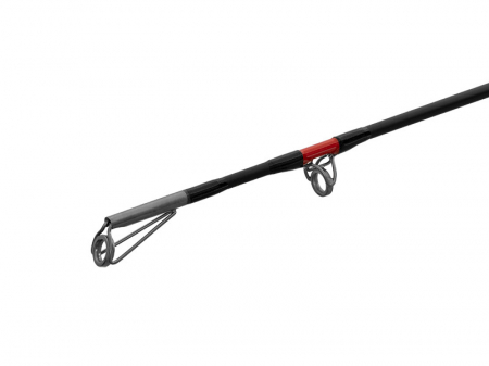 Delphin DANGER CatFISH 255cm/350g/2 tronsoane [5]