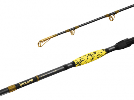 Pescuit la somn - Delphin HAZARD BxG 255cm/505g/2 tronsoane
