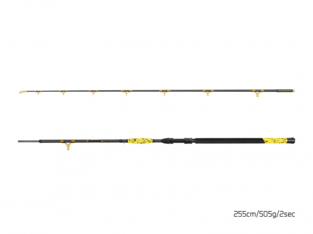 Delphin HAZARD BxG 255cm/505g/2 tronsoane [1]