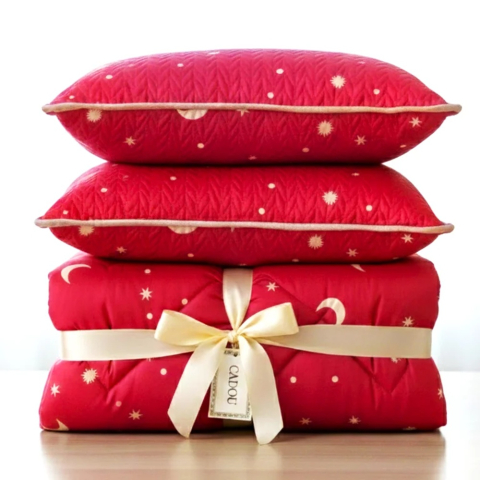 Set pilota si perne - Set pilota 200x215cm 370g cu 2 perne 50x70,rosu- PLT34