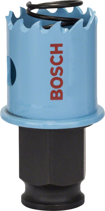 Bosch Carota tabla 25mm, 1'' [1]