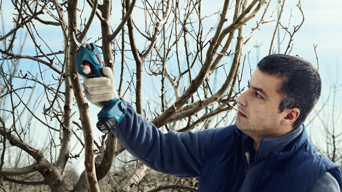 Bosch Pro Pruner Foarfeca Li-Ion, 12V cu 2 acumulatori 3Ah [3]