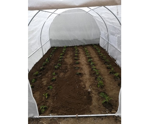 Solar gradina alb cu schelet metalic 4.5 x 3 m [5]