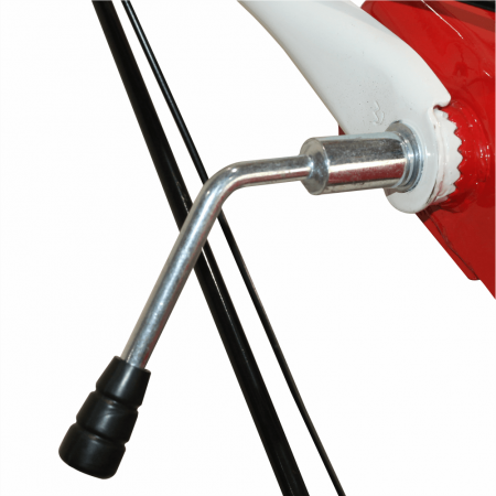 BISONTE BTA-12SDE Motocultor 12 CP, 2+1, Diesel [5]