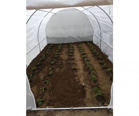 Solar gradina alb cu schelet metalic 4.5 x 3 m [4]
