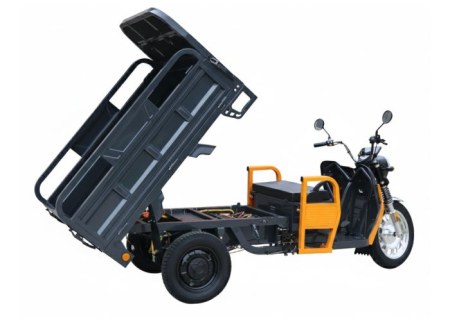 Triciclu Electric Cargo Progarden TRIVO 3000, 25km/h, 72V, 58Ah, incarcator inclus [6]