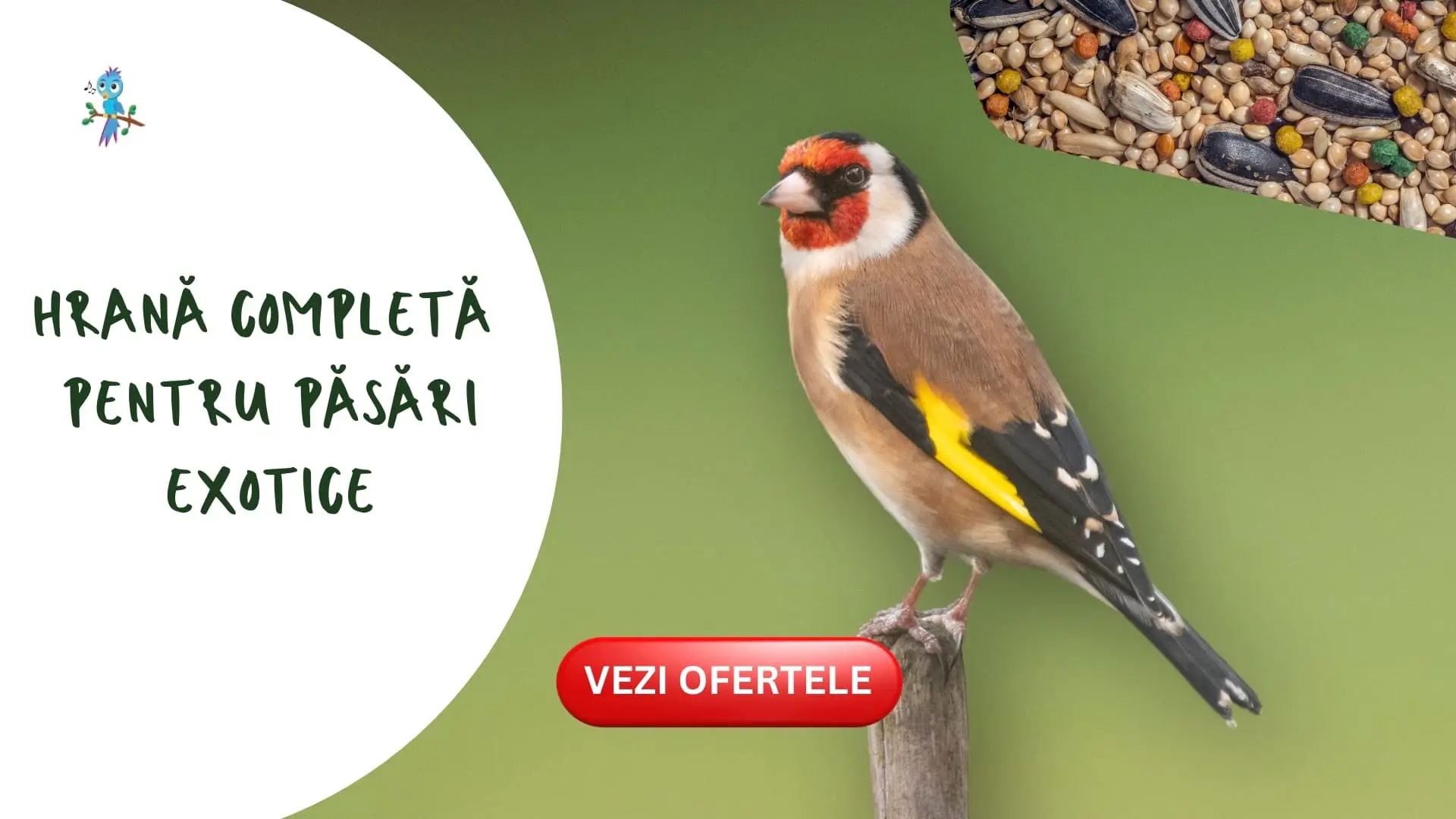 Magazin online de hrana si accesorii pentru pasari