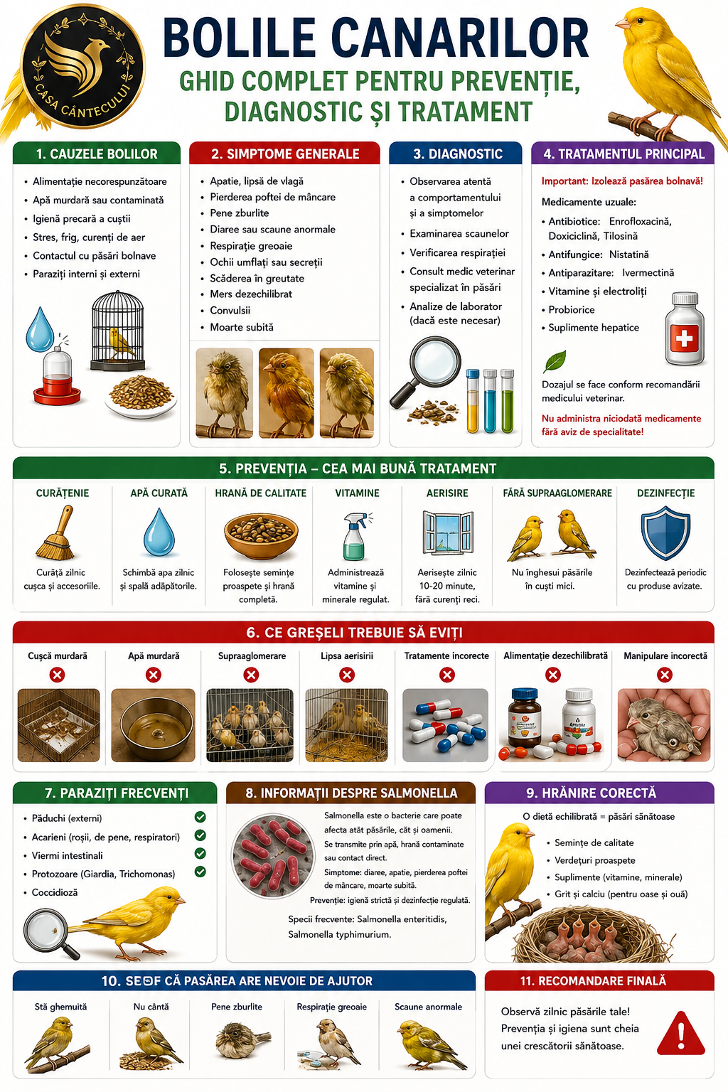 Salmonella la canari și păsări exotice – simptome și prevenție