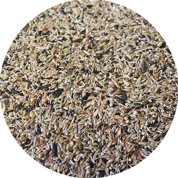 amestec -seminte-carduelide-spinus-sticleti-canari [2]