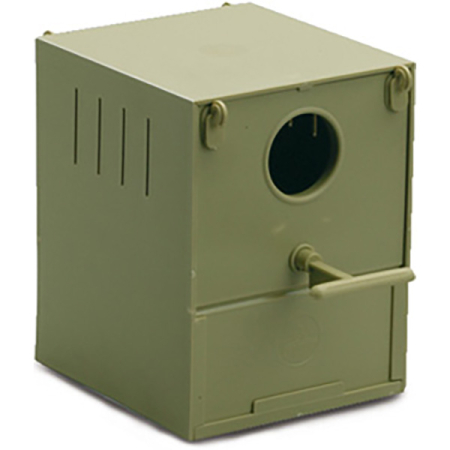 Cuiburi - cuib exotice Perla