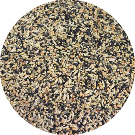 Seminte si hrana pentru pasari-Hrana pentru canari si pasari exotice - Seminte Germinabile pentru Canari si Papagali Mici – Mix Premium pentru Vitalitate
