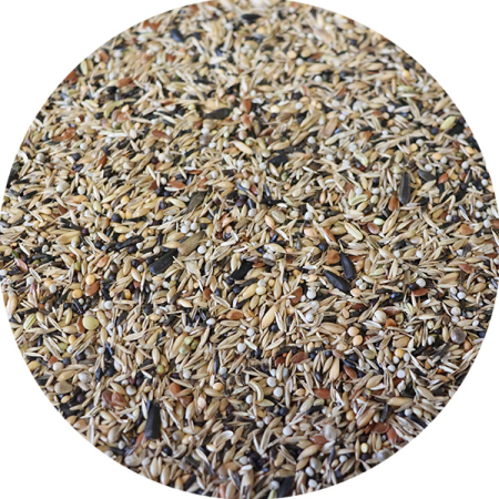 amestec -seminte-carduelide-spinus-sticleti-canari [1]