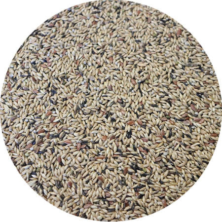 Pasari Indigene - Semințe pentru Canari cu Perilla 5kg - Hrană Premium