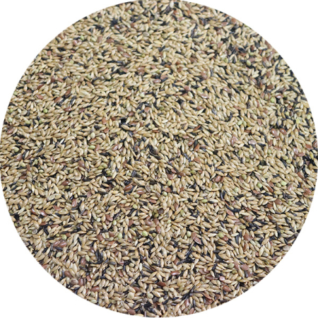 Seminte si hrana pentru pasari-Hrana pentru canari si pasari exotice - Semințe pentru Canari - Hrană Completă Profesională