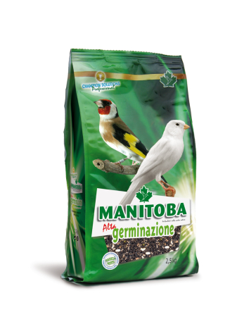 Seminte - Amestecuri de seminte - manitoba-alta-germinazione-2-5kg-seminte-germinare-pasari.jpg