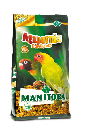 Papagali - Manitoba Agapornis Parakeets 3 kg