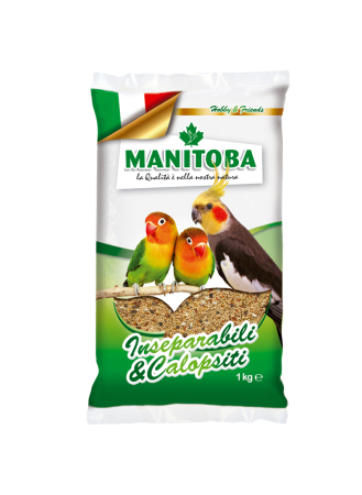 Papagali - manitoba-parrocchetti-1kg-hrana-papagali-mici.jpg