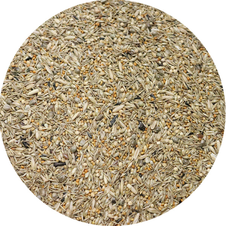 Seminte si hrana pentru pasari-Hrana pentru canari si pasari exotice - Amestec Seminte Ornitalia  pentru papagali Agapornis Cana  Hrana Completă și Nutritivă 3,5kg