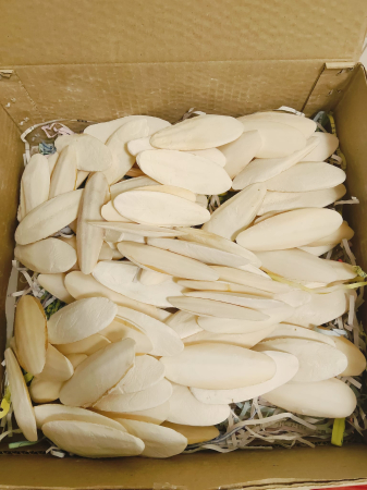 Sanatate - Os de sepie natural pentru păsări 3–4 inch (7,5–10 cm) – sursă de calciu pentru cioc și oase sănătoase